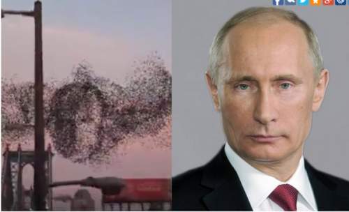 дотянулся