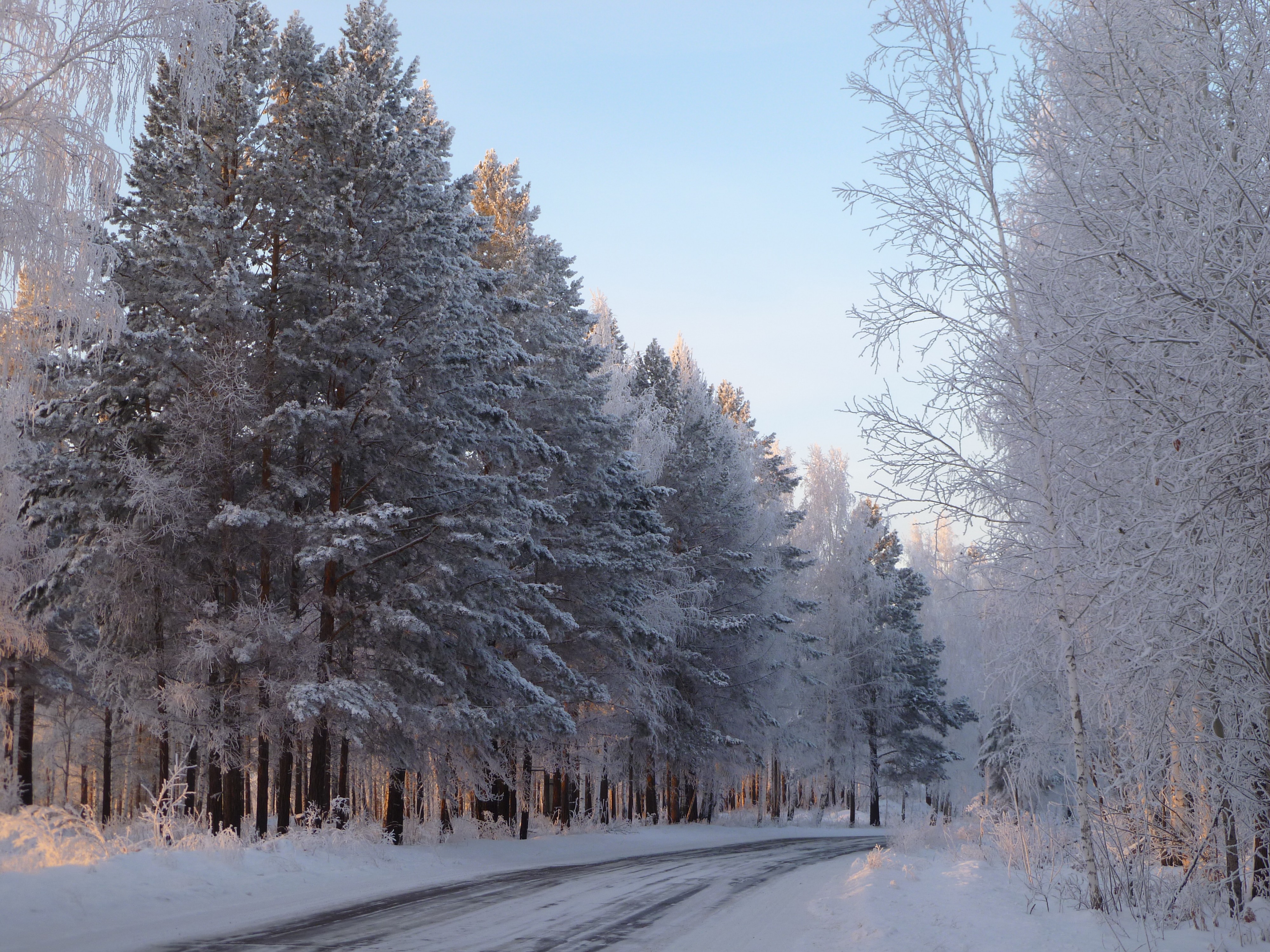Дорога на Савватеевку