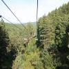 IMG 0866