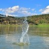 Ангара