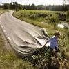 Идти своей дорогой (Go your own road), работа Эрика Йохансона