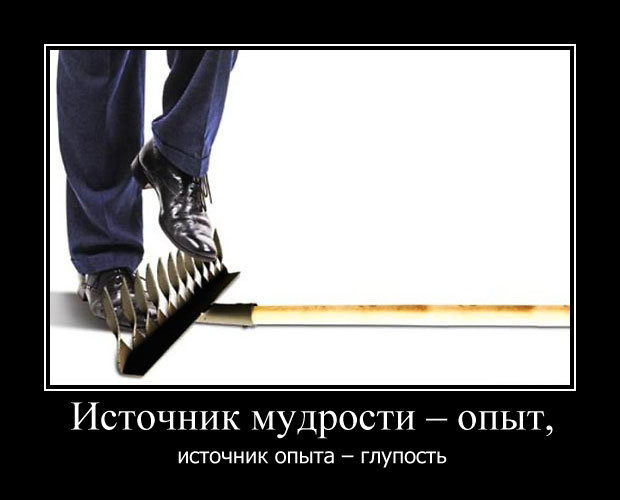Источник мудрости-опыт