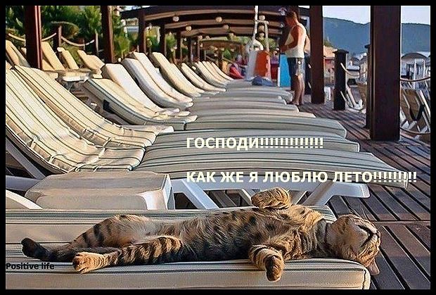 Ностальгия))