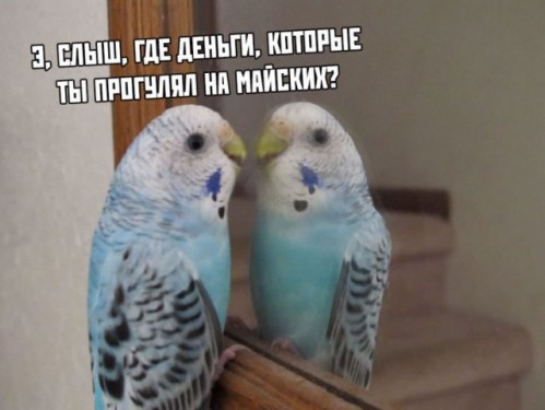 ээээ слышь))))))