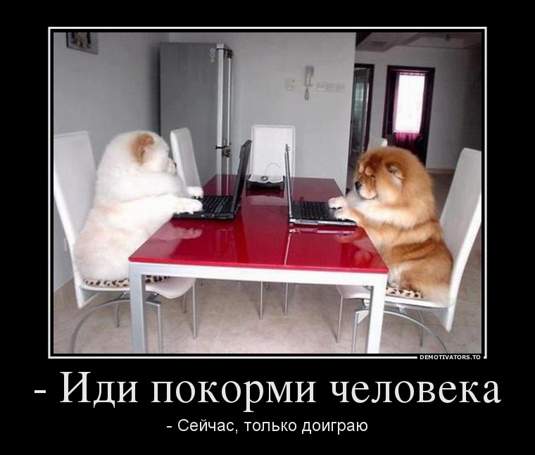 045362 -idi-pokormi-cheloveka