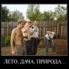 Лето,дача,природа