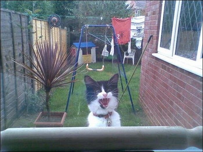 взглянул в окно