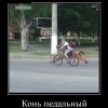 Конь педальный Конь педальный