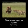Женщины всегда правы Женщины всегда правы