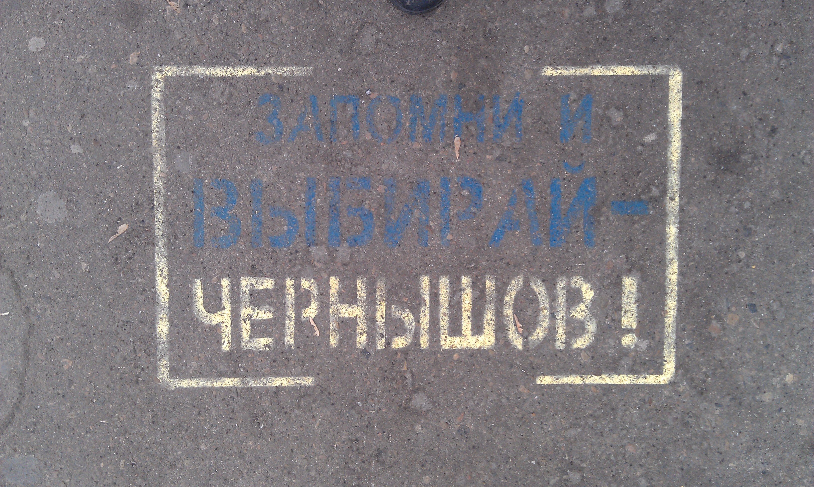 Запомни и выбирай Чернышев