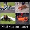 )))