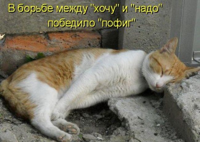 Пофиг