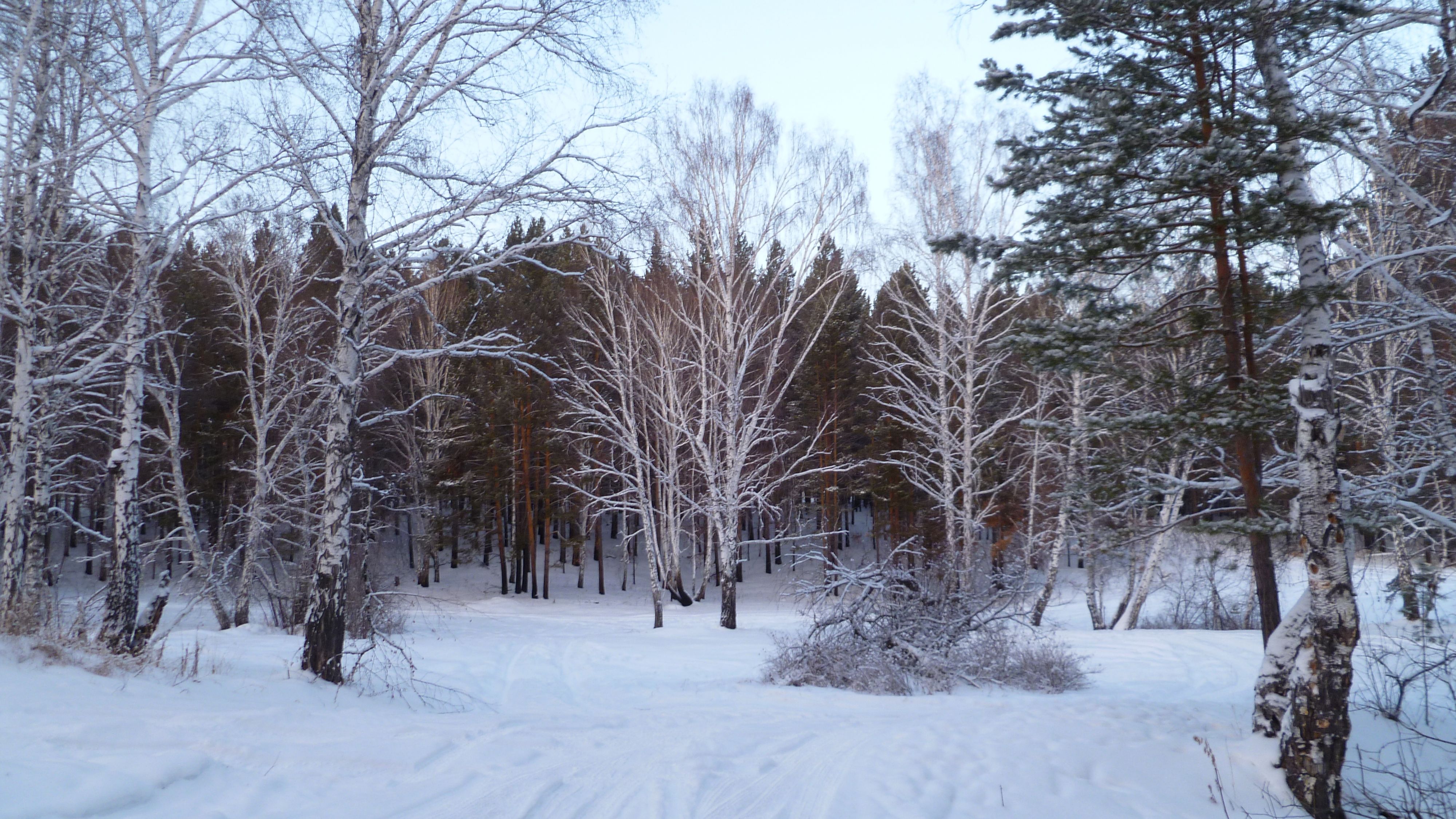 Краски зимы