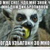 кагда узбагоин со мной)))))