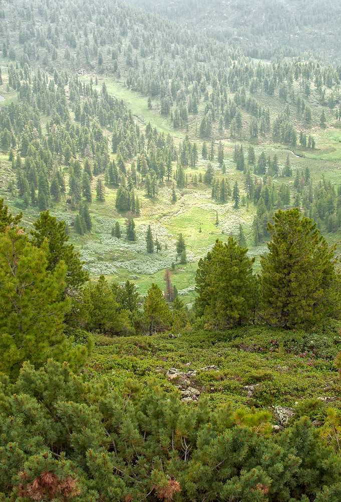 Сибирские Альпы