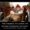 Трусики