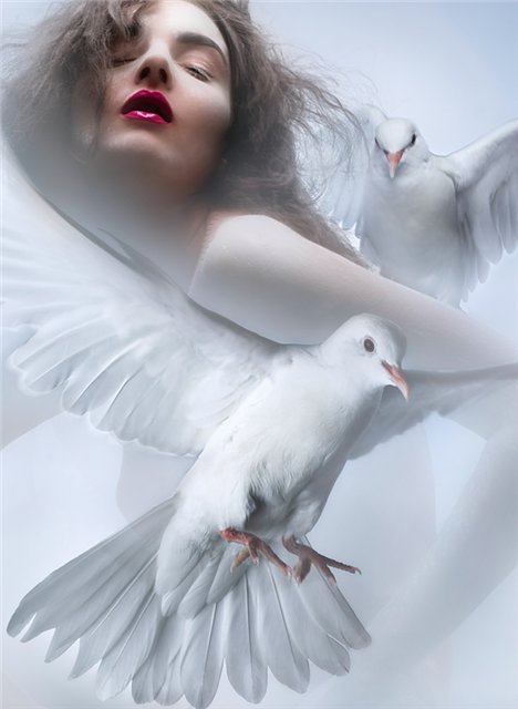 Она умела летать...