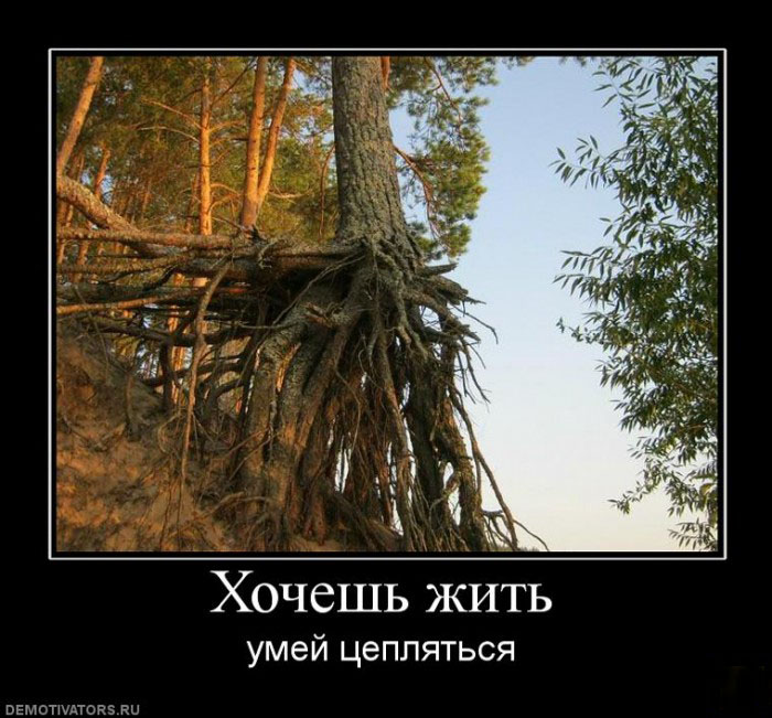 Умей цепляться