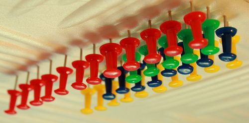 Фото №1 - Жизненные приоритеты