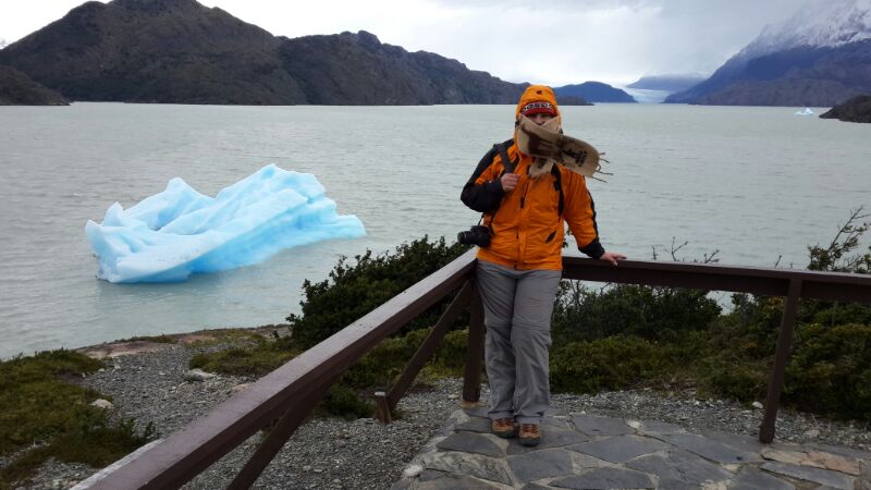 летнее утро на озере Грей 