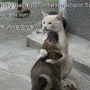 друг ))