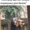 кормушка кормушка