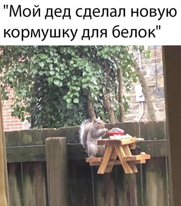 кормушка