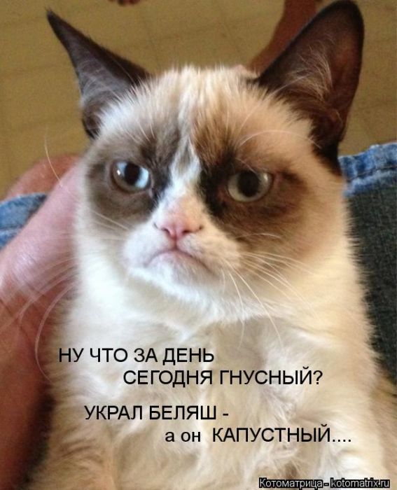 5e2ce97efe23d172e454d8718dc