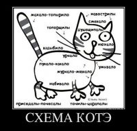 ))