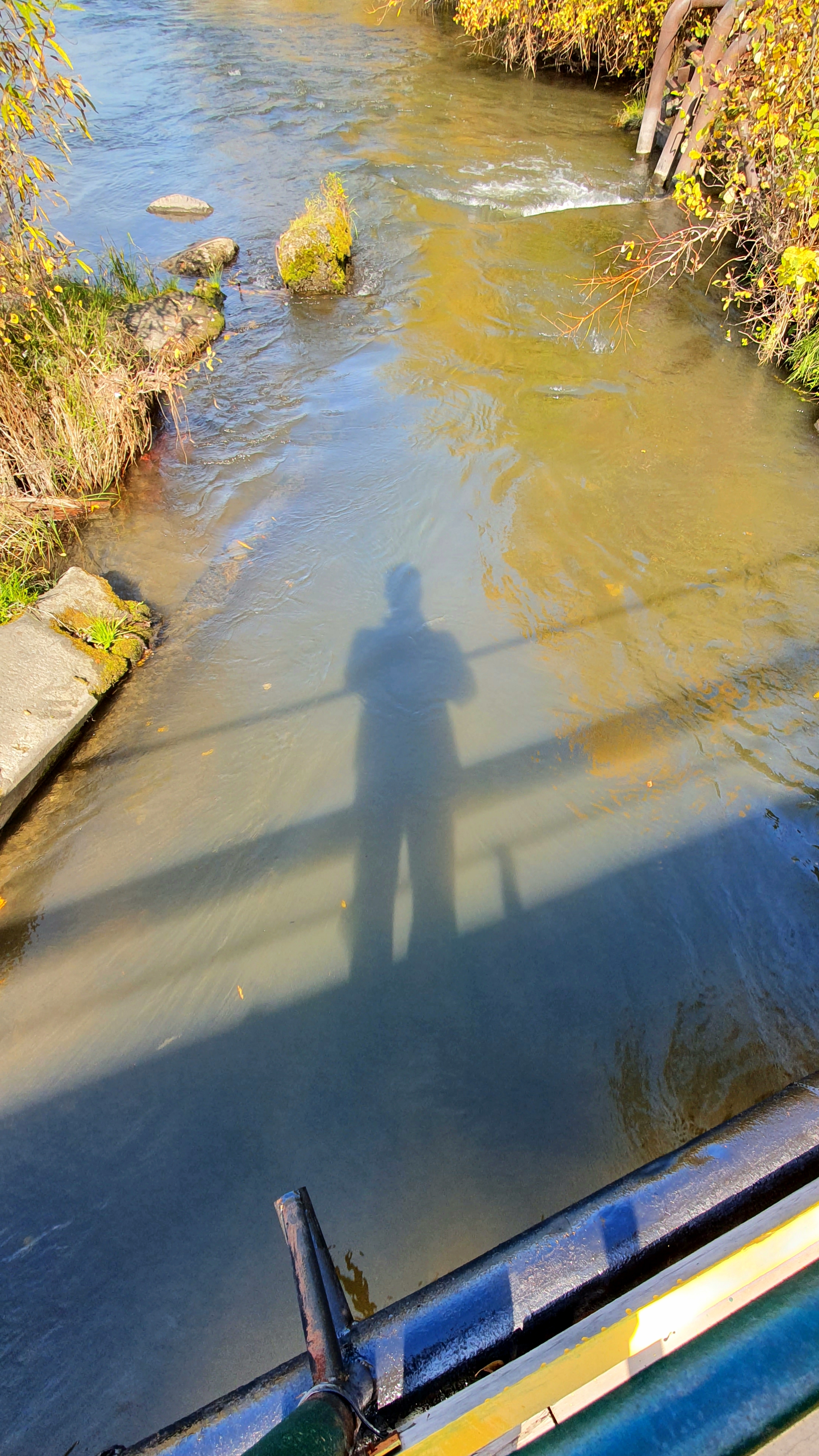 тень сирёгина мосточерезеловку))))))