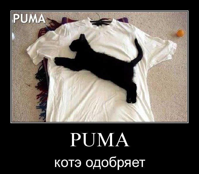 Пума