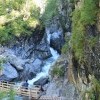 IMG 3376 IMG 3376