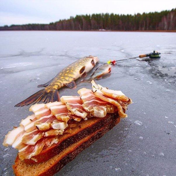 На рыбалке
