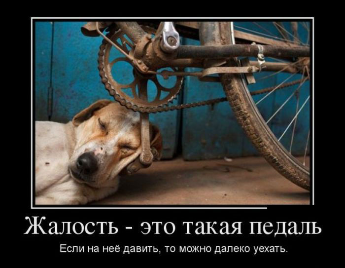 Педаль жалости