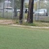 DSC 4654