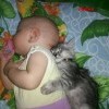 Родня
