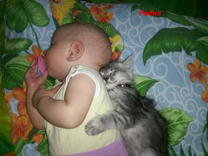Родня
