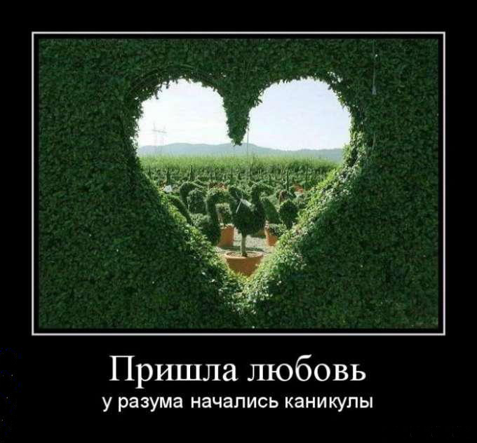 Пришла любовь