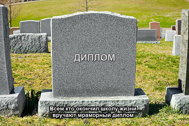 Школа жизни