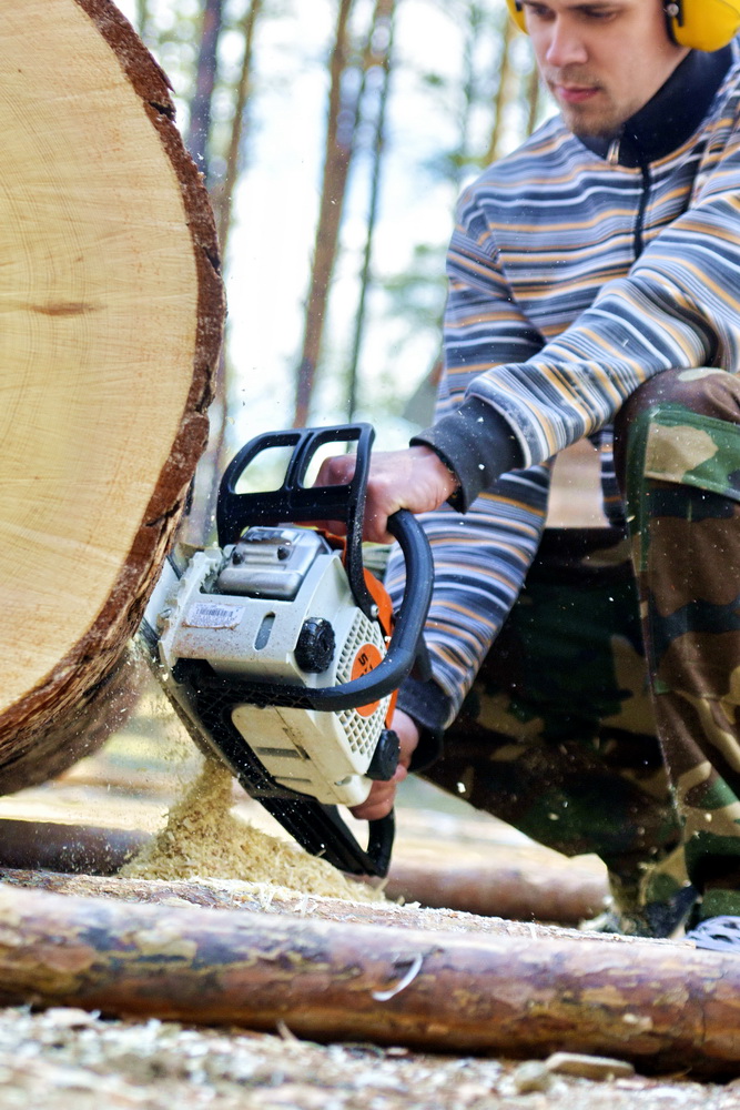 Бревнышко, SHTIHL и мастер