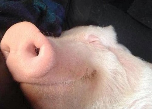 радуюзь выгадным)))))