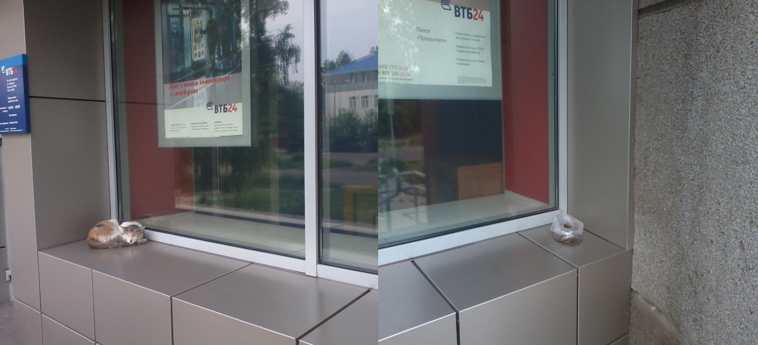 ВТБ-Кот