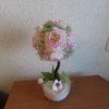 IMG 2566[1]