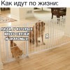 Идти по жизни