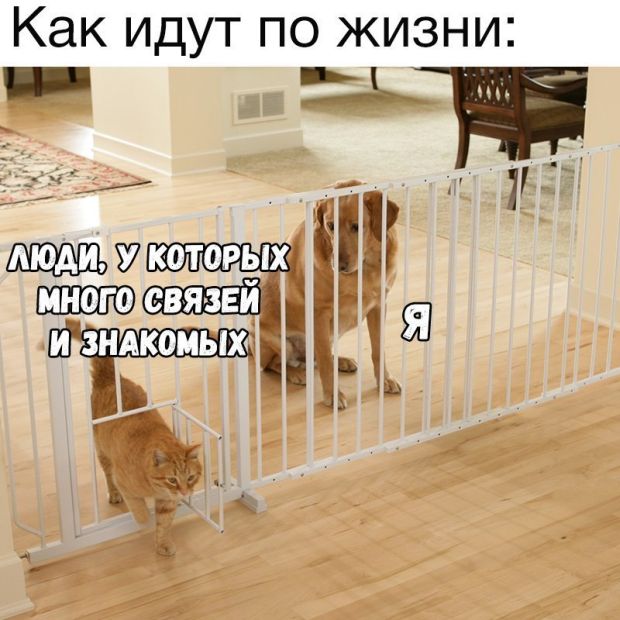 Идти по жизни