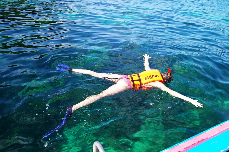 звезда морская