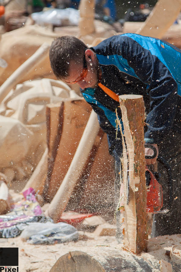 Международный фестиваль деревянной скульптуры "Лукоморье" 2013