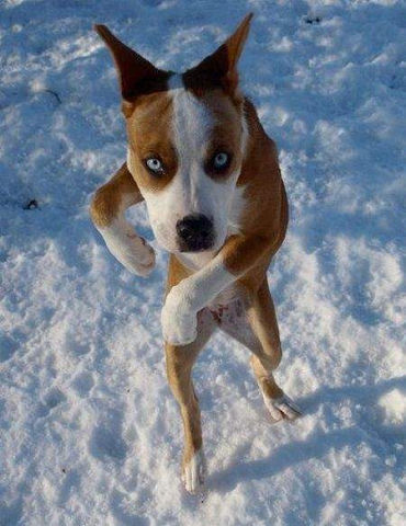 гоп стоп..она подошла из за угла..))