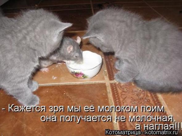 8a3aa0dde1a1c7346e501268b74 prev