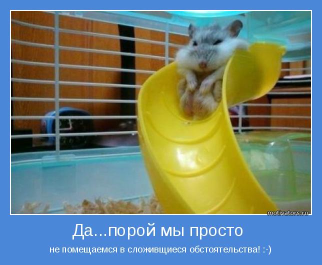 Порой мы просто